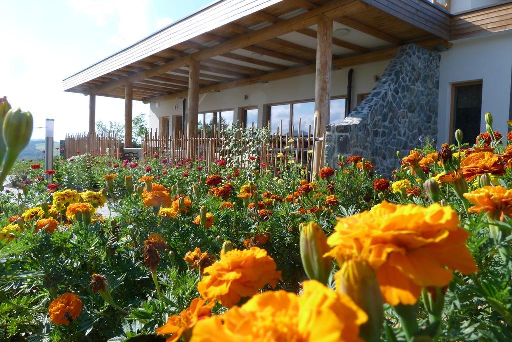 Guest House Eco Vila Mila Rogaska Slatina Exterior photo
